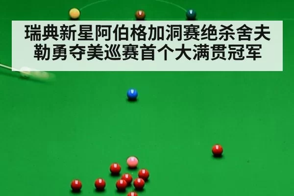 瑞典新星阿伯格加洞赛绝杀舍夫勒勇夺美巡赛首个大满贯冠军